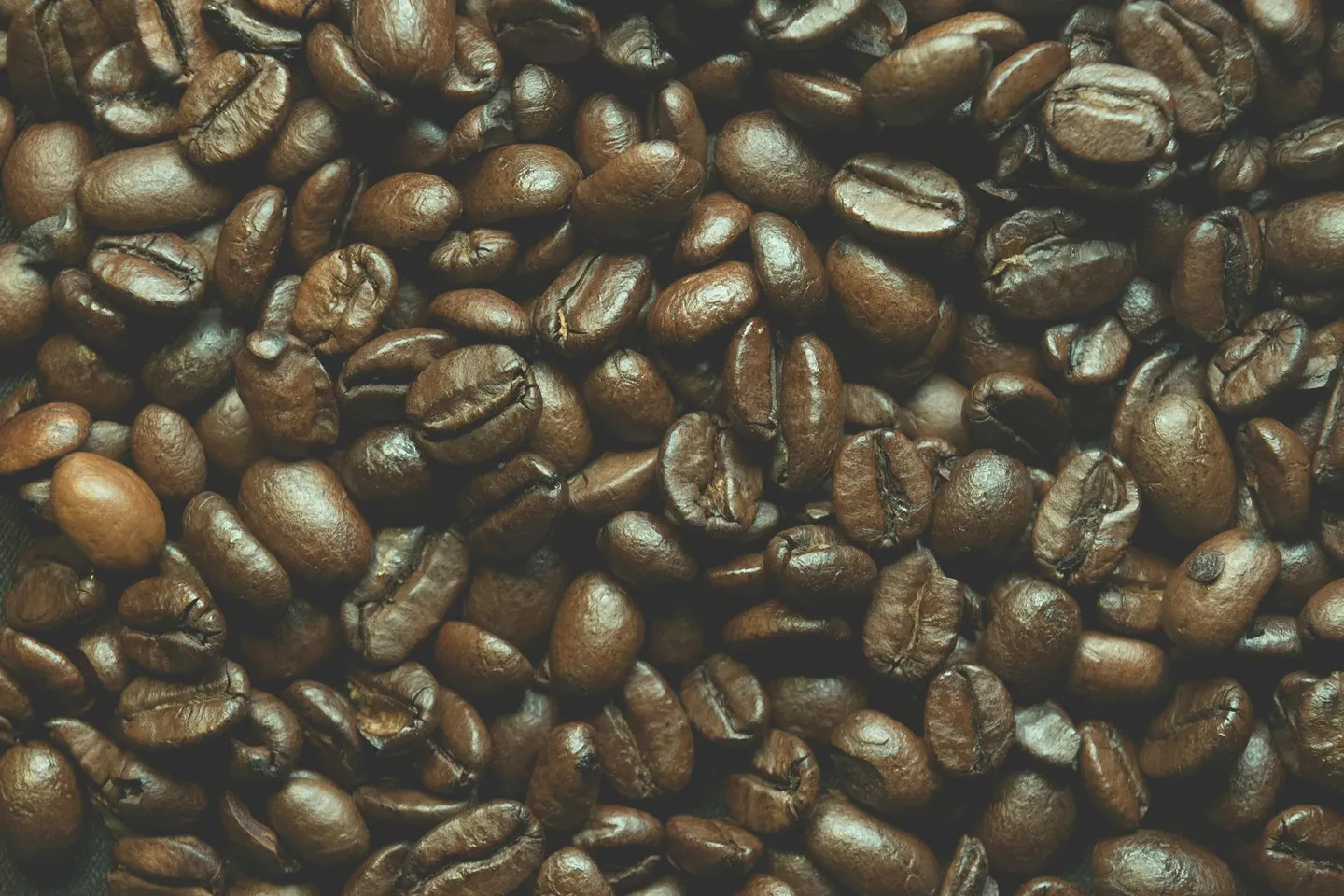 Close-up of roasted coffee beans, representing the plant compounds found in coffee.