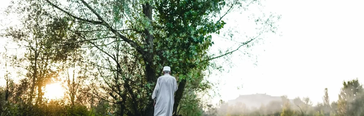 Person walking outdoors in the morning on a tree-lined path