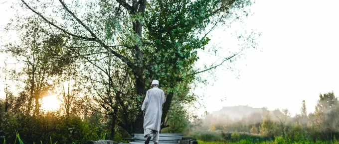 Person walking outdoors in the morning on a tree-lined path