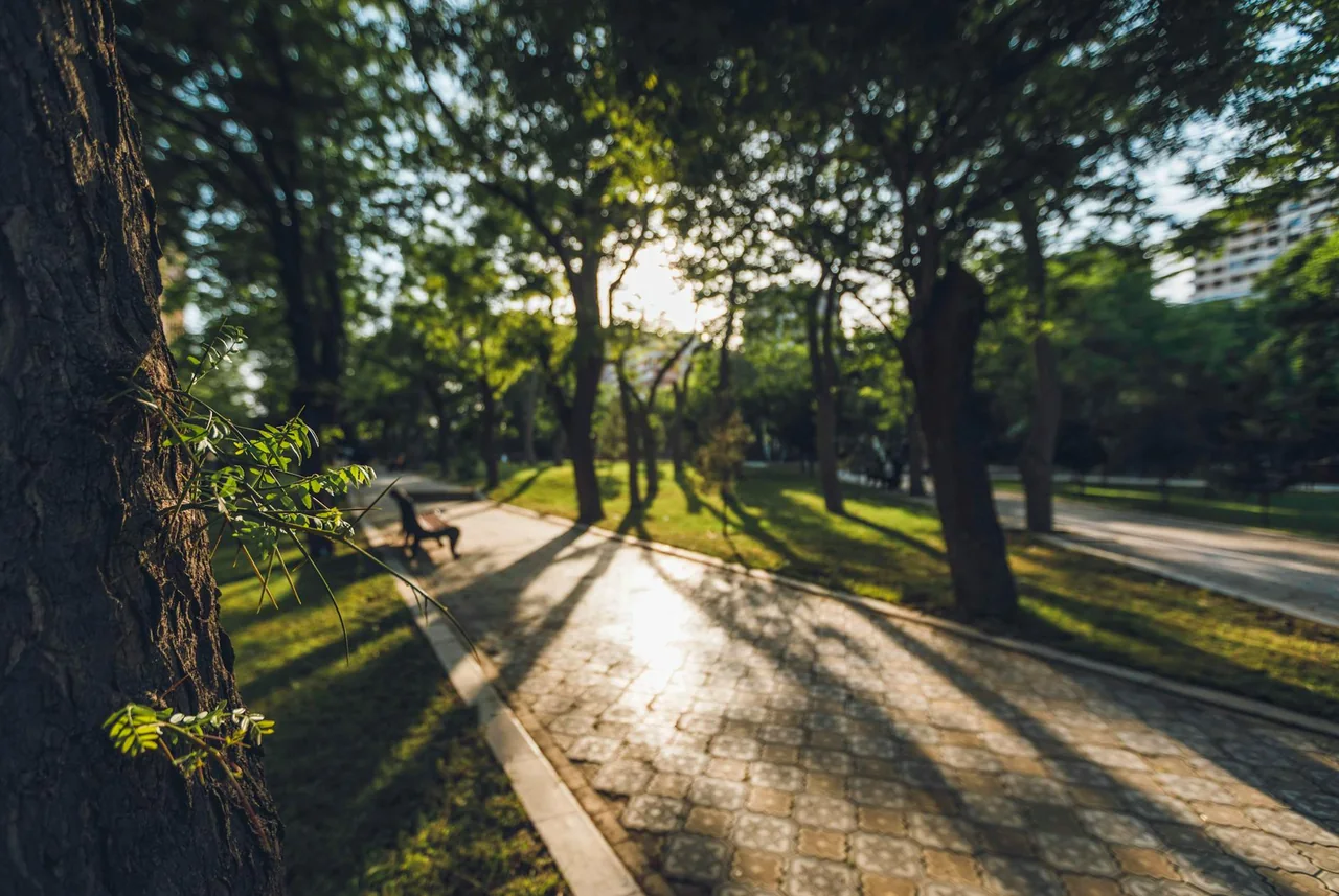 Morning walk in a sunny city park