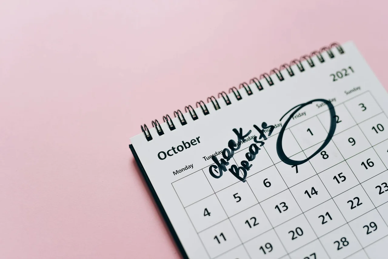 Planner showing repeated daily habit check marks